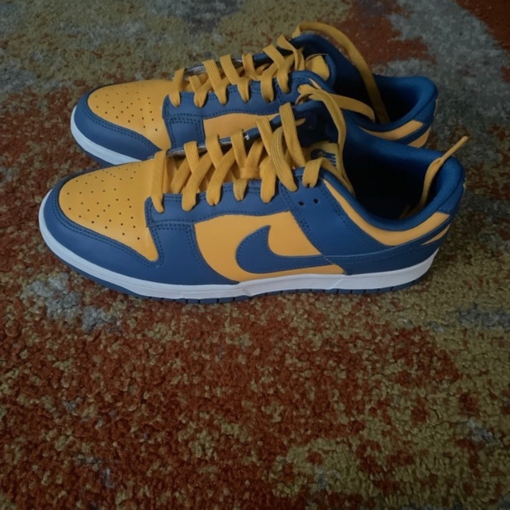 UCLA Nike Dunks